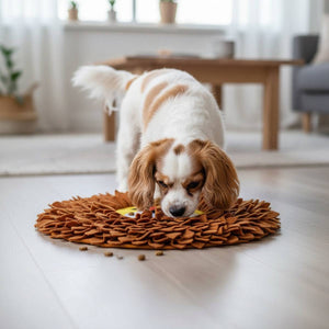 Lion Snuffle Mat for Dogs | Interactive Nosework Feeding Puzzle Toy