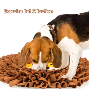 Lion Snuffle Mat for Dogs | Interactive Nosework Feeding Puzzle Toy