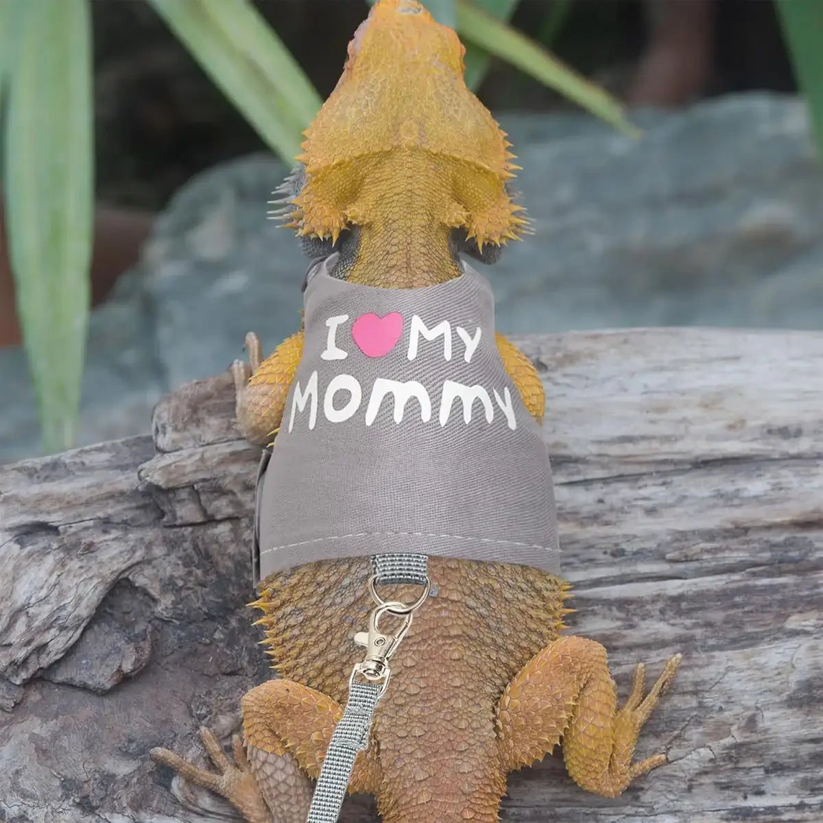 Luminous Reptile Clothes and Leash Set with "I Love Mommy" Print