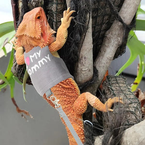 Luminous Reptile Clothes and Leash Set with "I Love Mommy" Print
