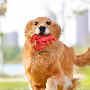 Tough Lobster Dog Chew Toy Durable Dental Toy for Large Breeds