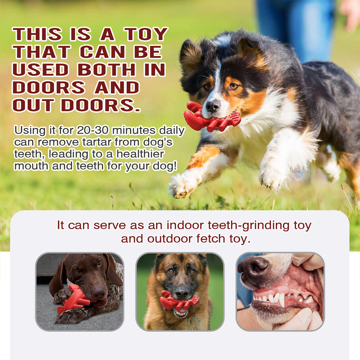 Tough Lobster Dog Chew Toy Durable Dental Toy for Large Breeds