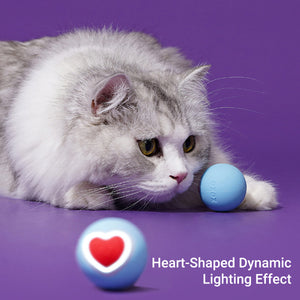 Zeze Interactive Cat Toy Ball With LED Heart Light