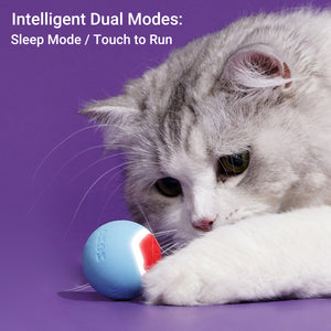 Zeze Interactive Cat Toy Ball With LED Heart Light