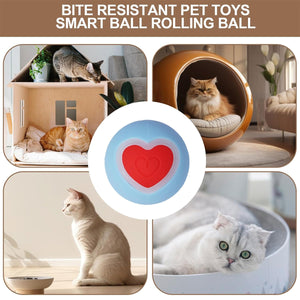Zeze Interactive Cat Toy Ball With LED Heart Light