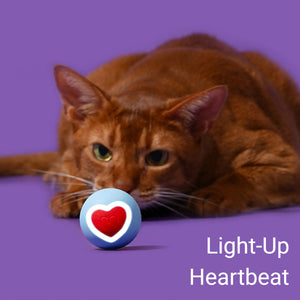 Zeze Interactive Cat Toy Ball With LED Heart Light
