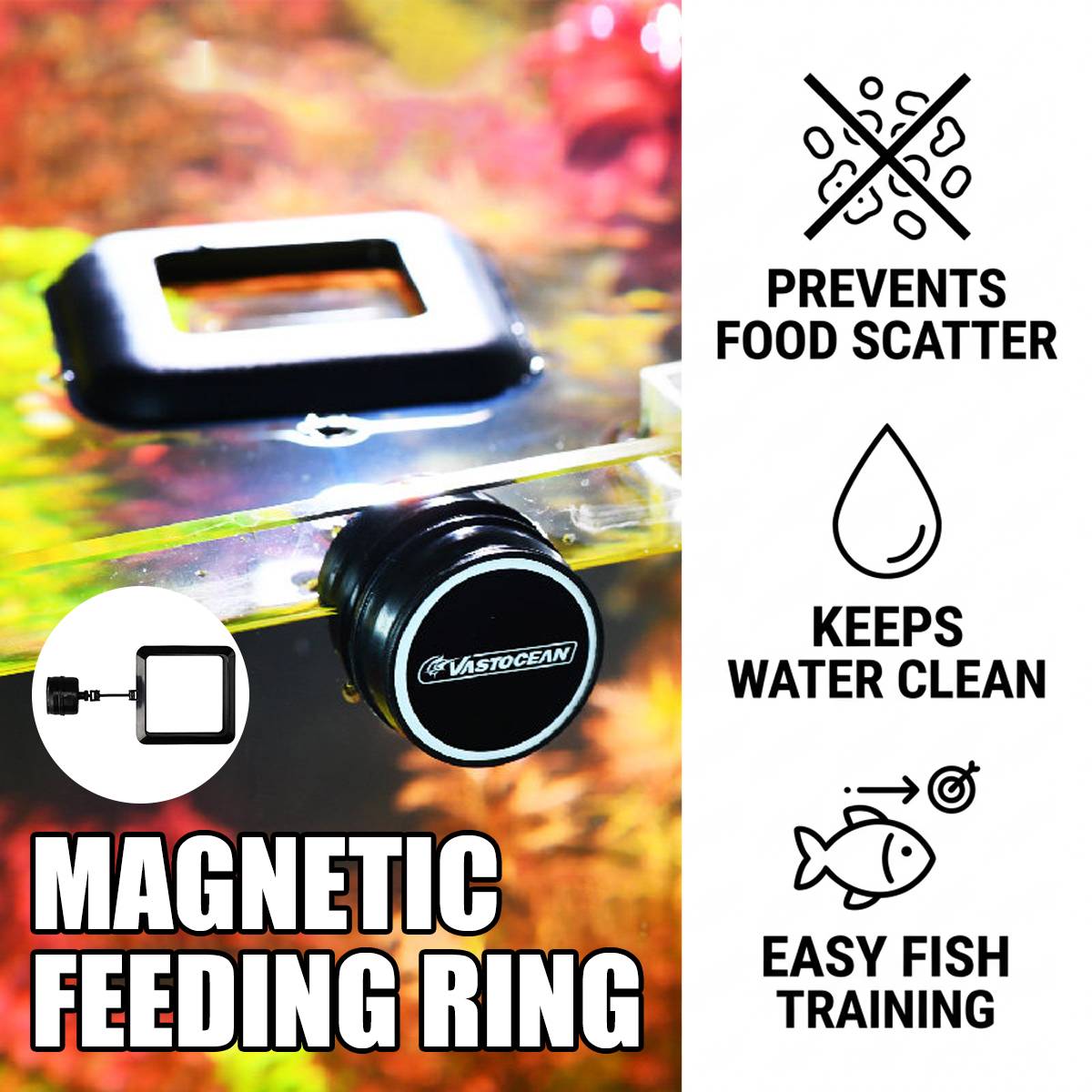 Magnetic Fish Feeding Ring - Floating Aquarium Feeder