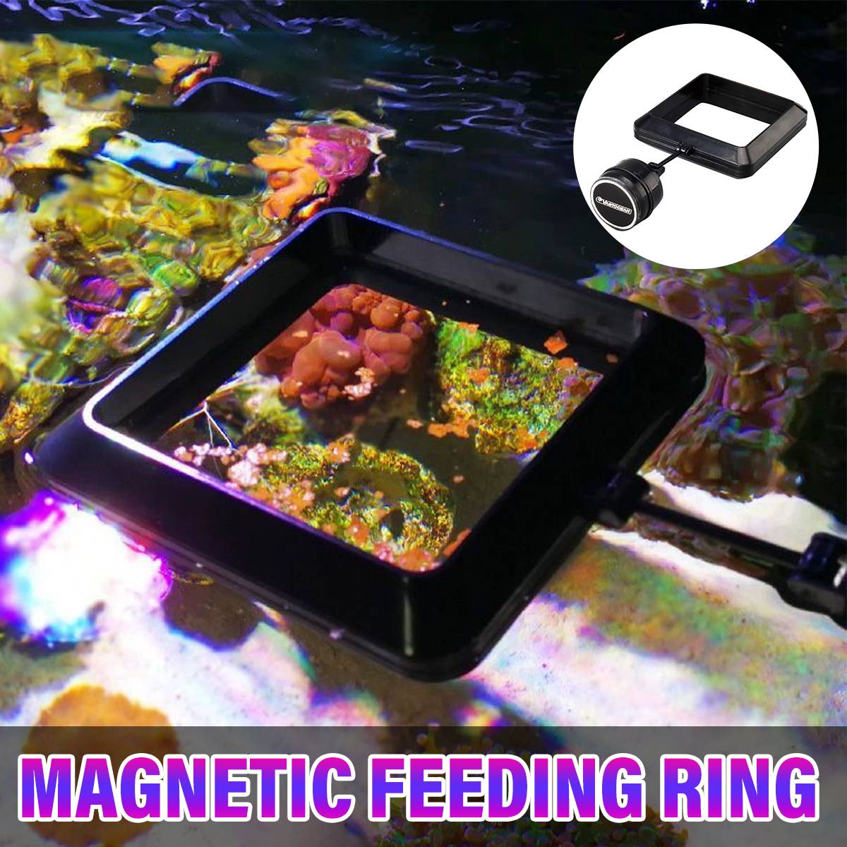 Magnetic Fish Feeding Ring - Floating Aquarium Feeder