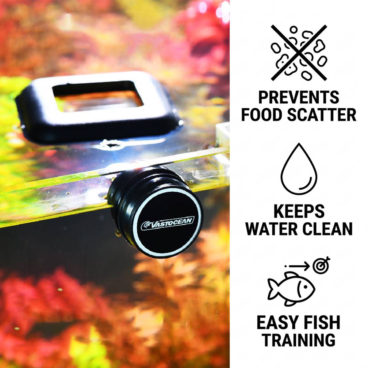 Magnetic Fish Feeding Ring - Floating Aquarium Feeder