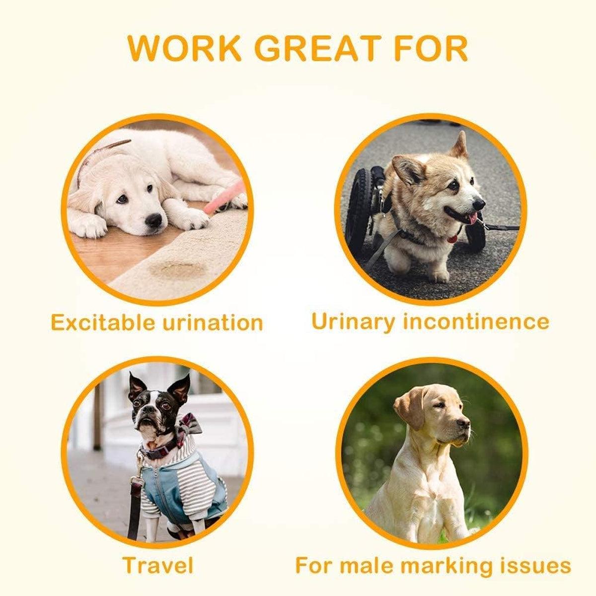Male Dog Diapers Adjustable Fit Leak-Proof with Wetness Indicator