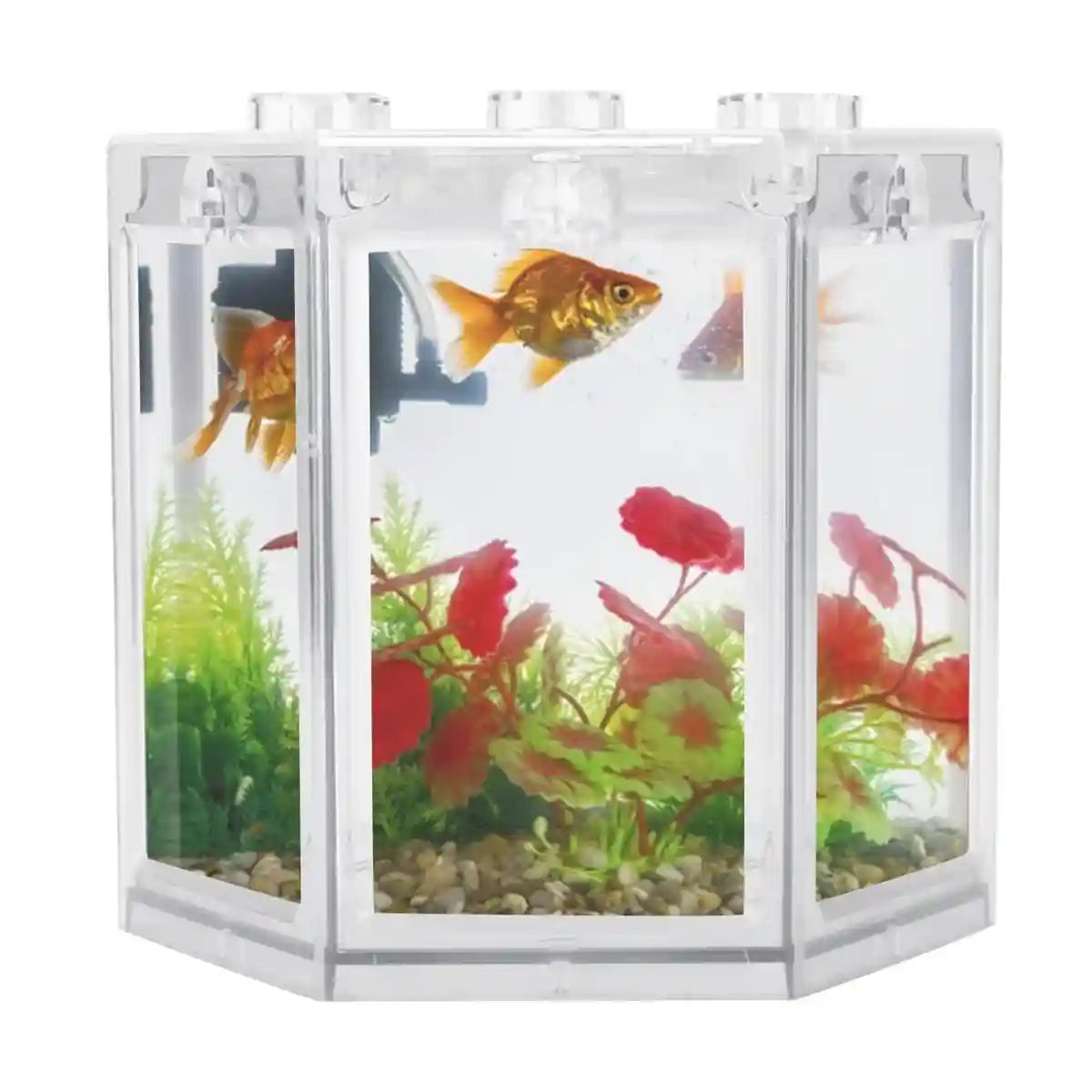 Mini Fish Tank Clear Desktop Aquarium for Betta & Small Fish