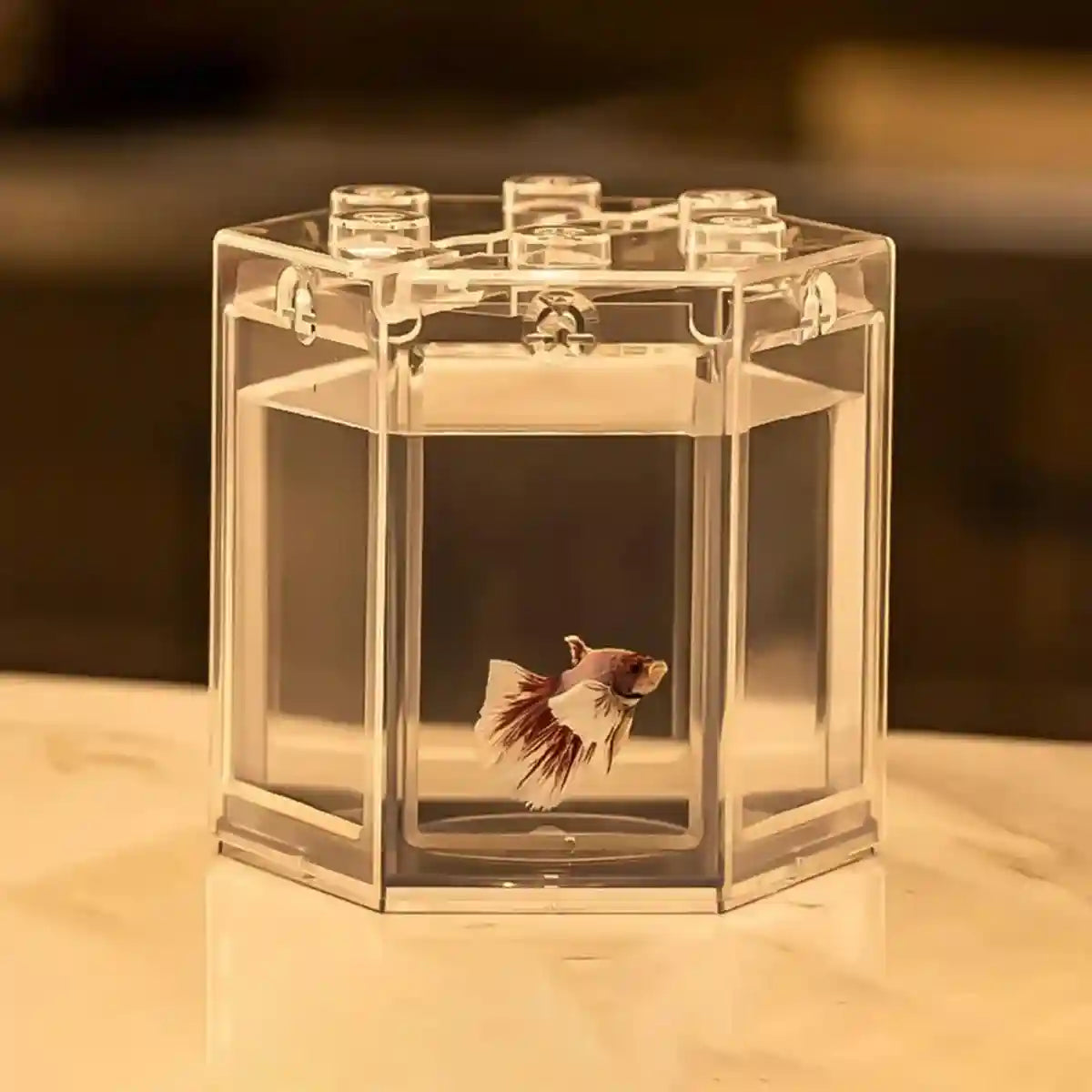 Mini Fish Tank Clear Desktop Aquarium for Betta & Small Fish