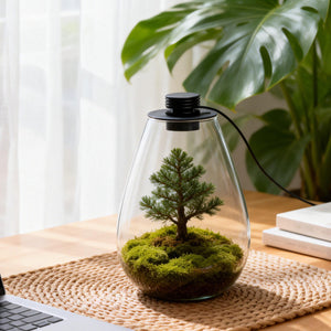 Miniature Landscape Glass Bottle With USB Light