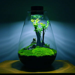 Miniature Landscape Glass Bottle With USB Light