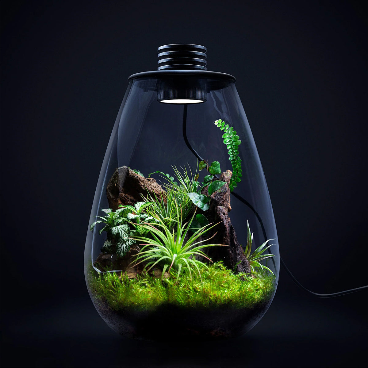 Miniature Landscape Glass Bottle With USB Light