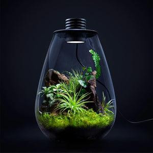 Miniature Landscape Glass Bottle With USB Light