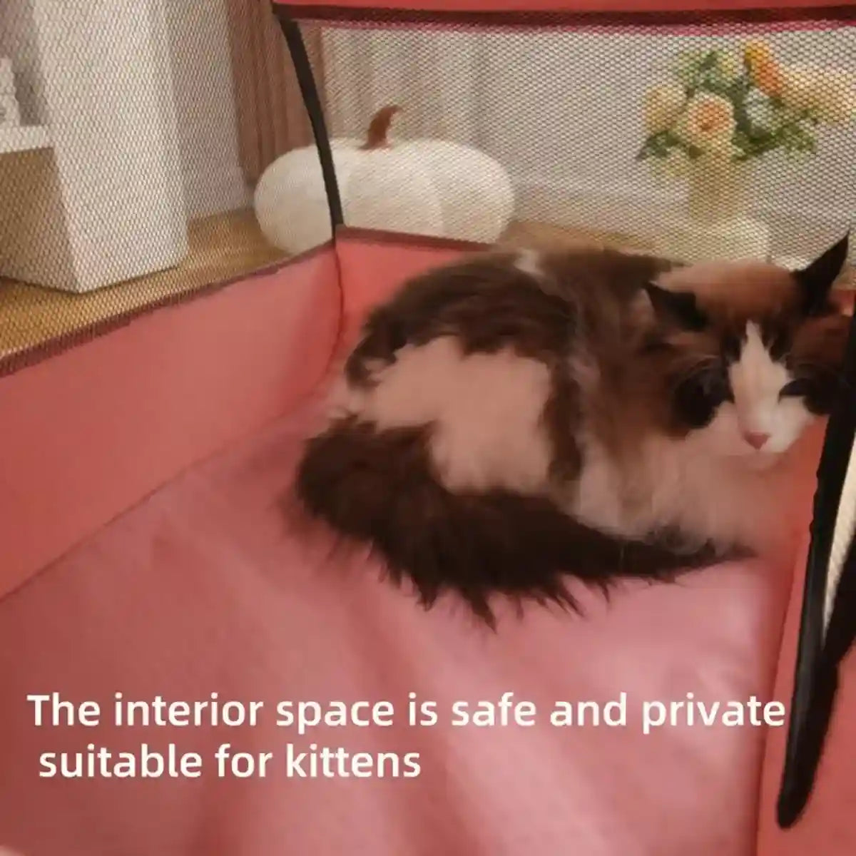 Foldable Cat Tent With Ventilated Design