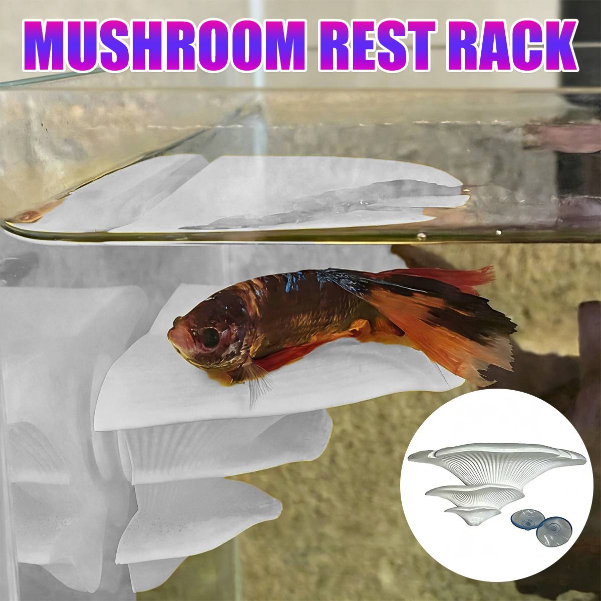 Mushroom Ledge - Terrarium Climbing & Resting Shelf