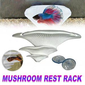 Mushroom Ledge - Terrarium Climbing & Resting Shelf