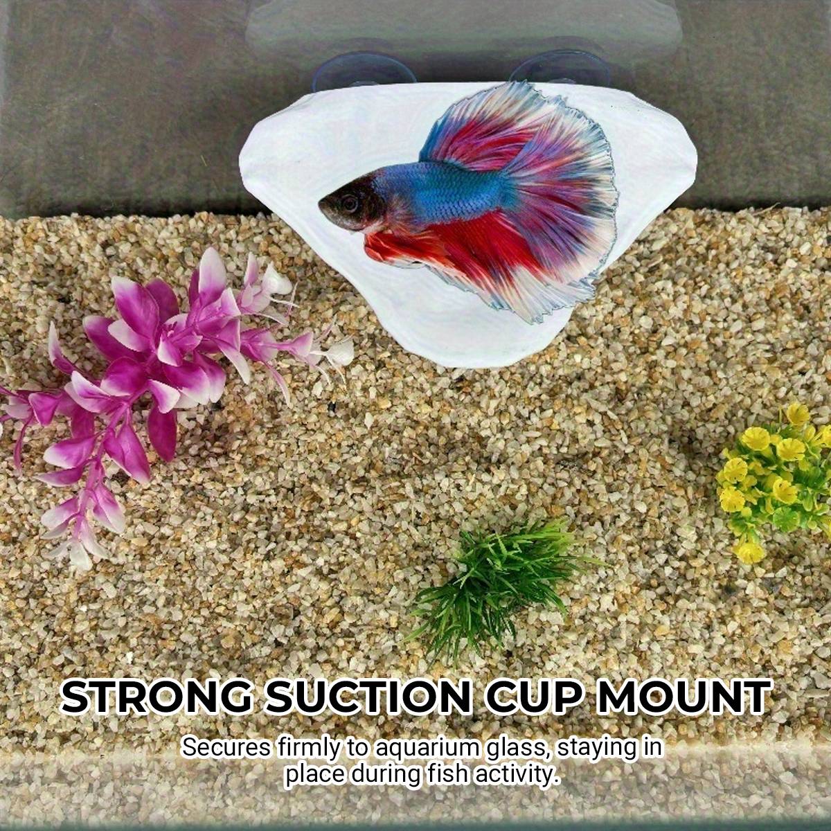 Mushroom Ledge - Terrarium Climbing & Resting Shelf