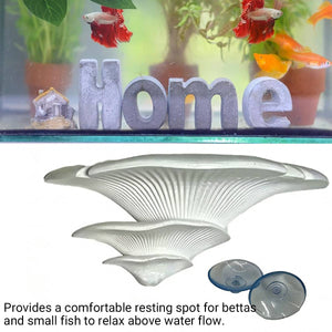 Mushroom Ledge - Terrarium Climbing & Resting Shelf