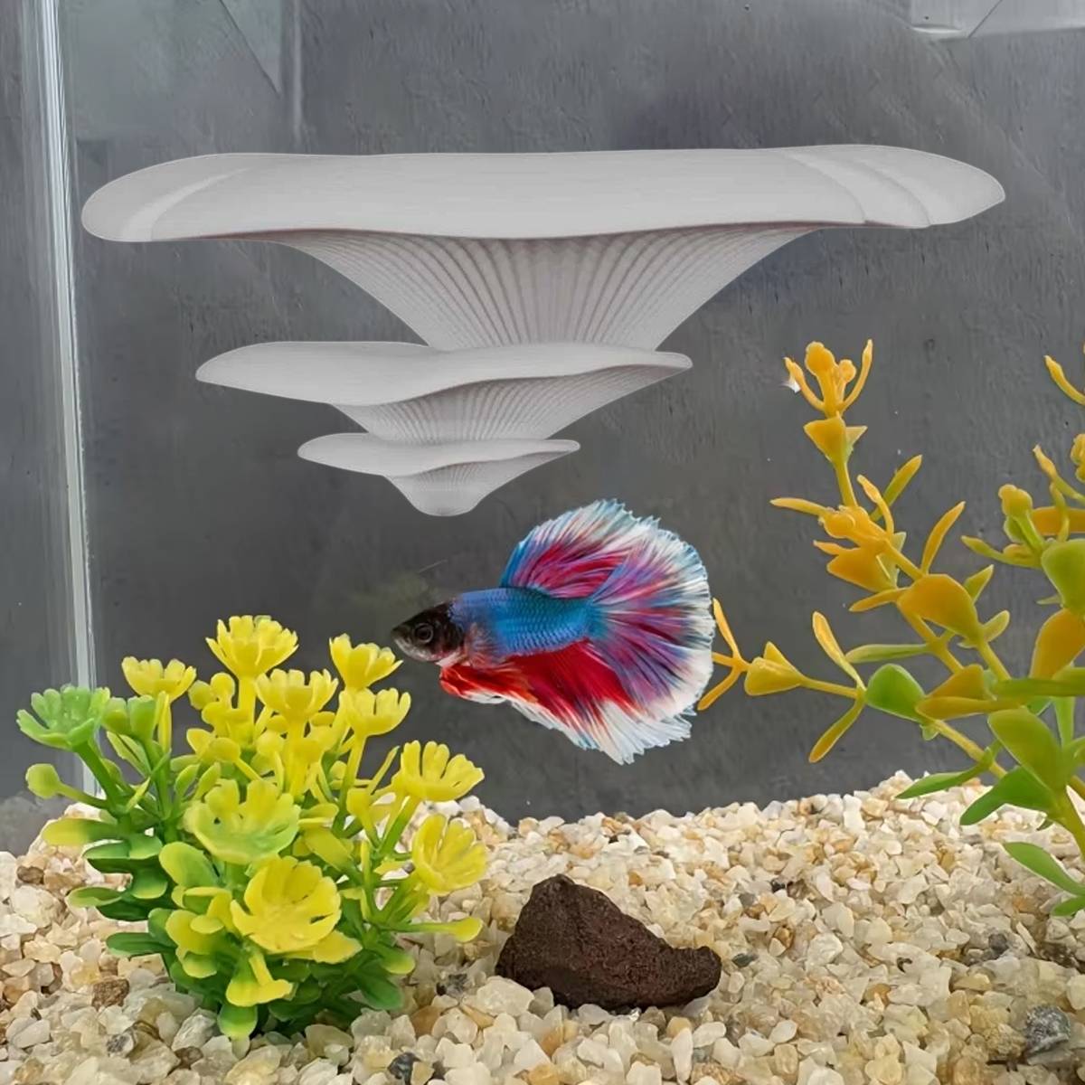 Mushroom Ledge - Terrarium Climbing & Resting Shelf