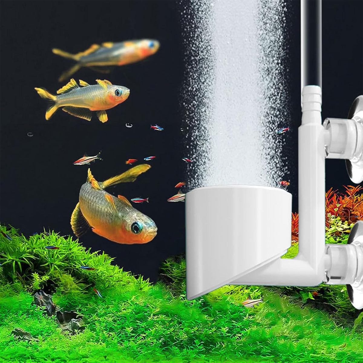 Nano Aquarium Air Stone Bubble Diffuser with Double Suction Cups