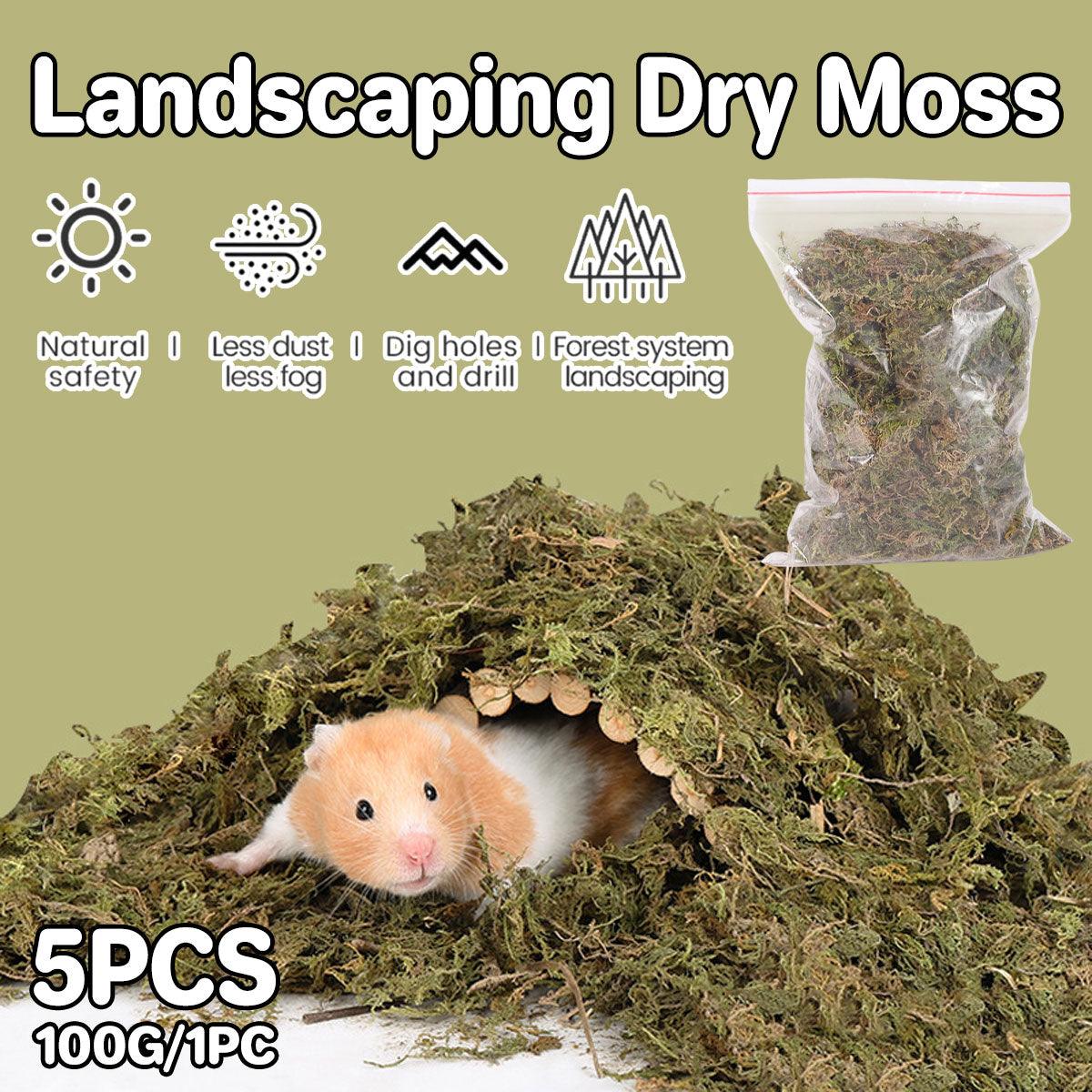 Natural Dry Moss for Hamsters & Reptiles Soft Bedding & Landscaping