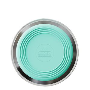 Anti-Slip Pet Dish with Stainless Steel Cat Bowl Design for Clean Feeding