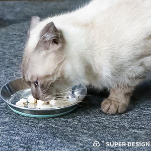 Anti-Slip Pet Dish with Stainless Steel Cat Bowl Design for Clean Feeding