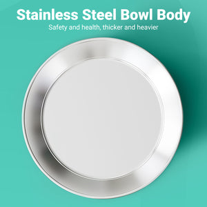 Anti-Slip Pet Dish with Stainless Steel Cat Bowl Design for Clean Feeding