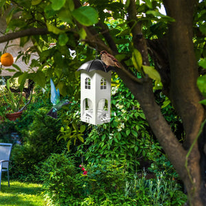 Outdoor Hanging Bird Feeder with Umbrella Lid