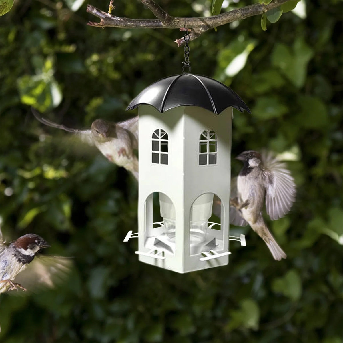 Outdoor Hanging Bird Feeder with Umbrella Lid