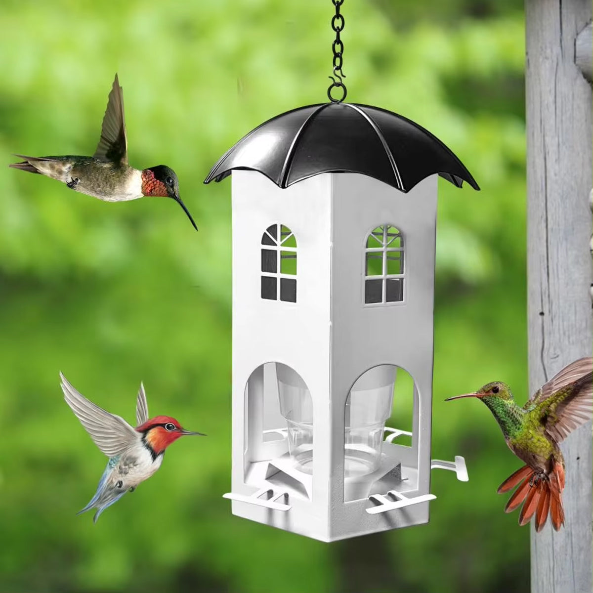 Outdoor Hanging Bird Feeder with Umbrella Lid
