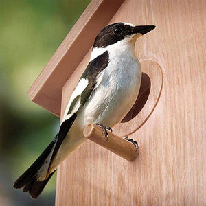Outdoor Bird Nest Box With One Way Mirror