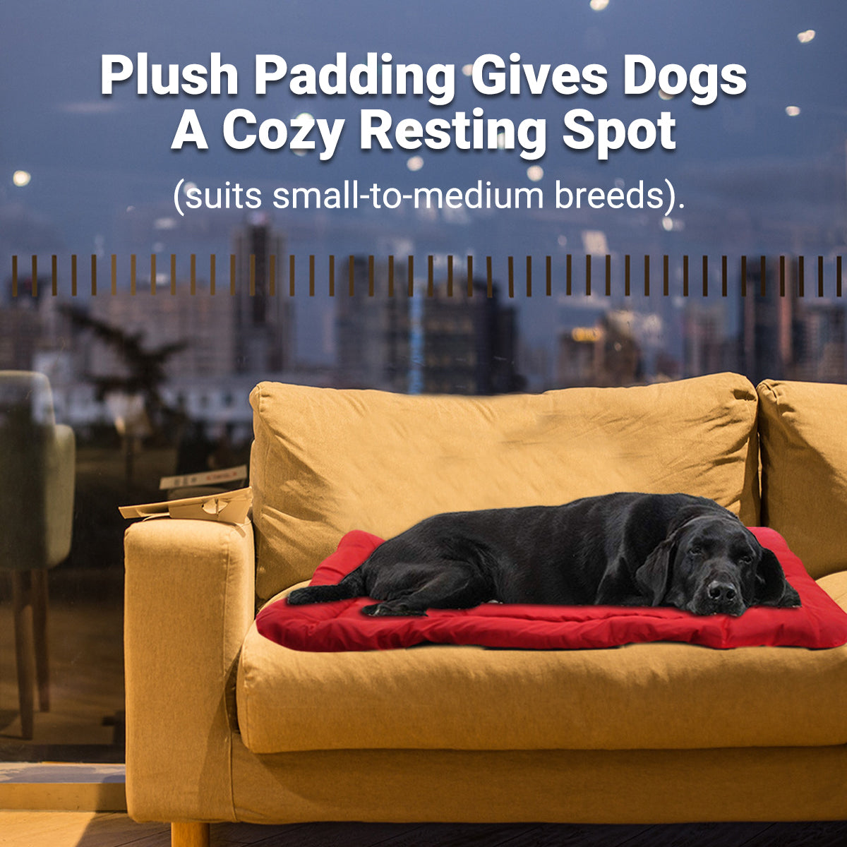 Outdoor Dog Bed Foldable Waterproof Travel Mat
