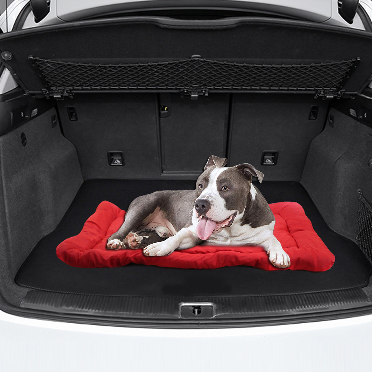 Outdoor Dog Bed Foldable Waterproof Travel Mat