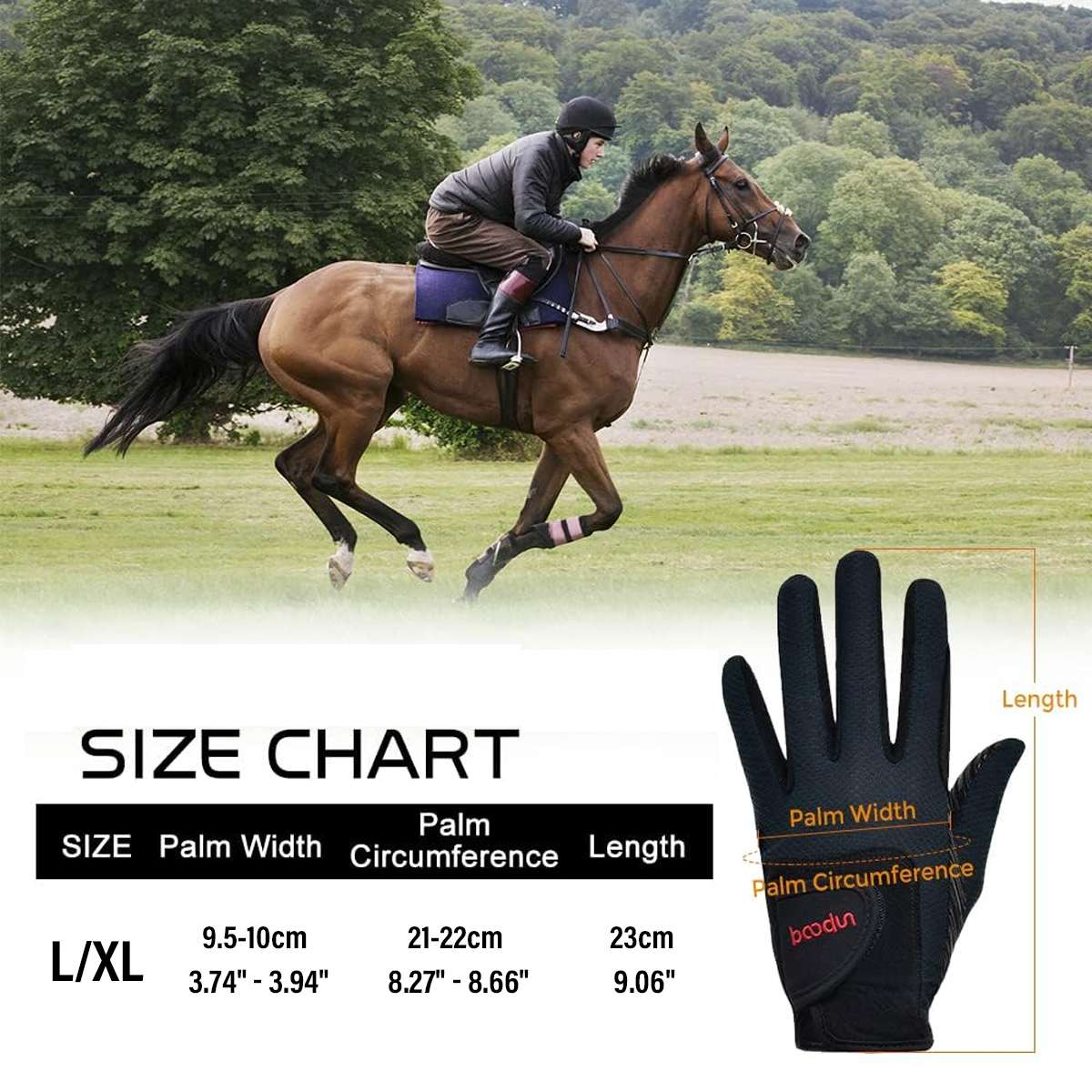 Equestrian Riding Gloves - Bolton Wear-Resistant Non-Slip (L-XL)