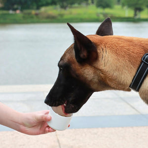 Portable Dog Water Bottle 350ml | Travel Pet Water Dispenser for Walks