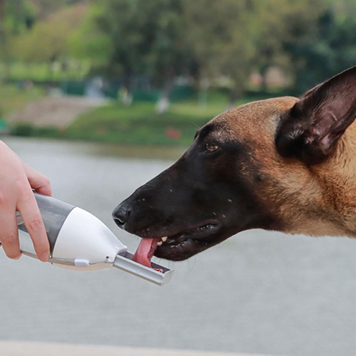 Portable Dog Water Bottle 350ml | Travel Pet Water Dispenser for Walks