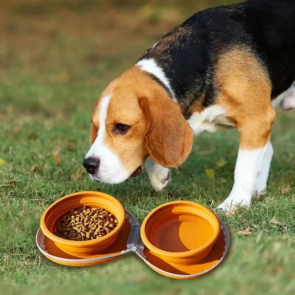Paw Print Travel Pet Bowl Set with Collapsible Design