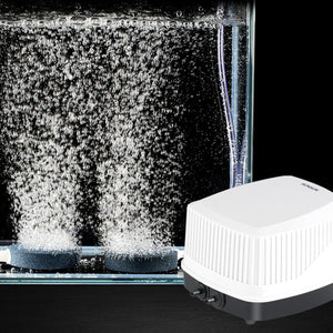 Aquarium Oxygen Pump Set for Fish Tank with Air Stone Silent Durable Adjustable