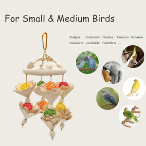 Hanging Wooden Parrot Chew Toy