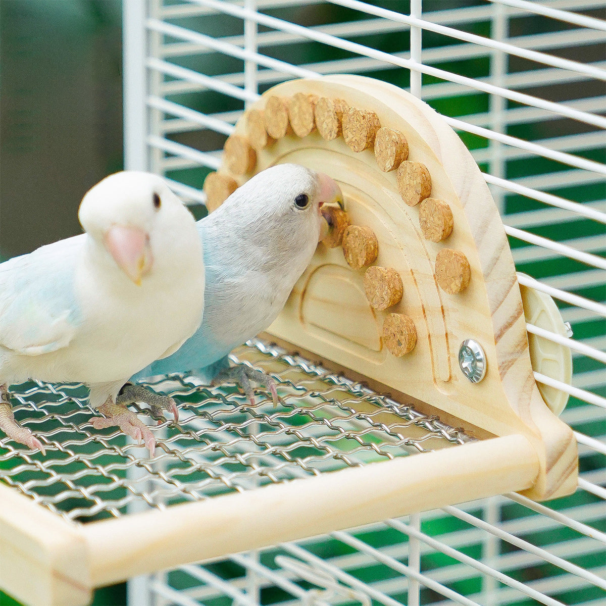 Parrot Metal Base Website Table Gnawing Wooks Toy Recreation Toy Parrot Metal Platform