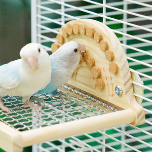 Parrot Metal Base Website Table Gnawing Wooks Toy Recreation Toy Parrot Metal Platform