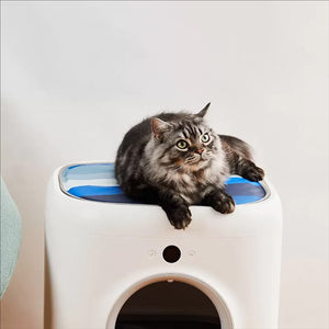 Petkit Pet Cooling Mat
