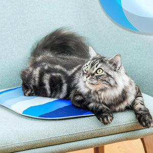 Petkit Pet Cooling Mat
