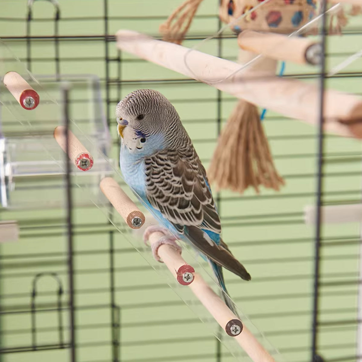 Parrot Climbing Ladder Acrylic Bird Cage Stairs Toy