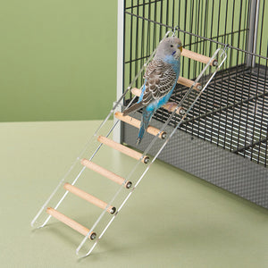 Parrot Climbing Ladder Acrylic Bird Cage Stairs Toy