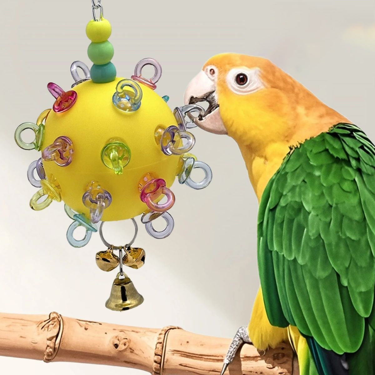 Durable Acrylic Parrot Toy With Bells & Rings For Small Birds